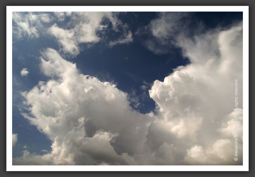 050713_Brandes_38