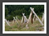 050710_LeBras_41