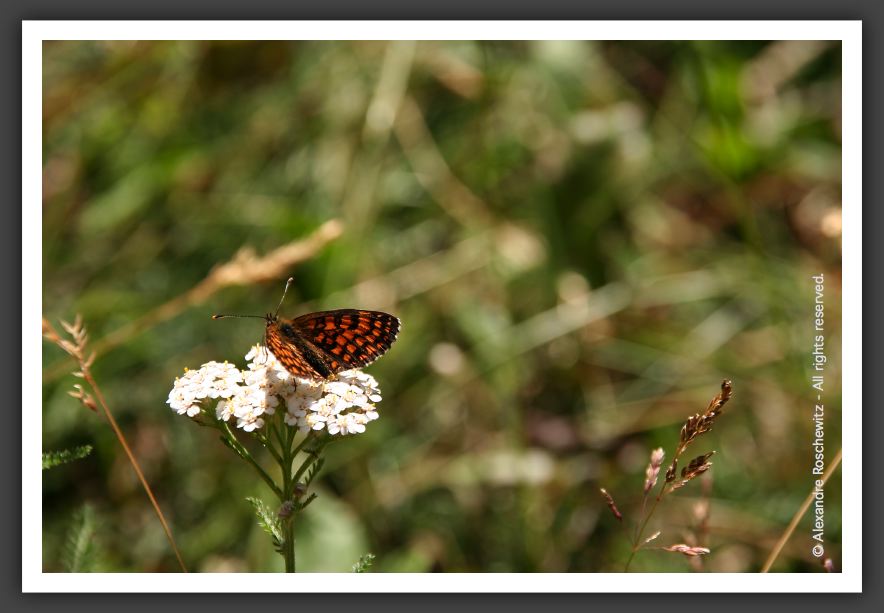 050719_Sarenne_26