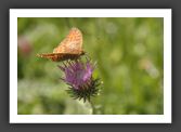 050714_LacBesson_LacNoir_013