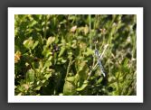 050714_LacBesson_LacNoir_016