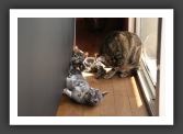 050820_Lilou_23