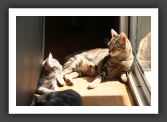 050820_Lilou_29