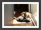 050820_Lilou_10