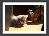 050820_Lilou_16