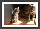 050820_Lilou_20