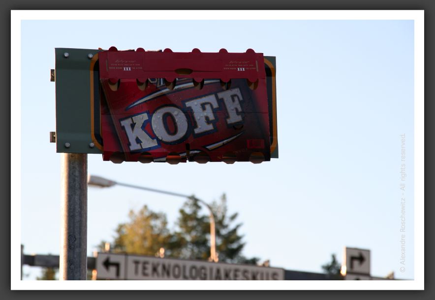 050902_ForetUniversite_28