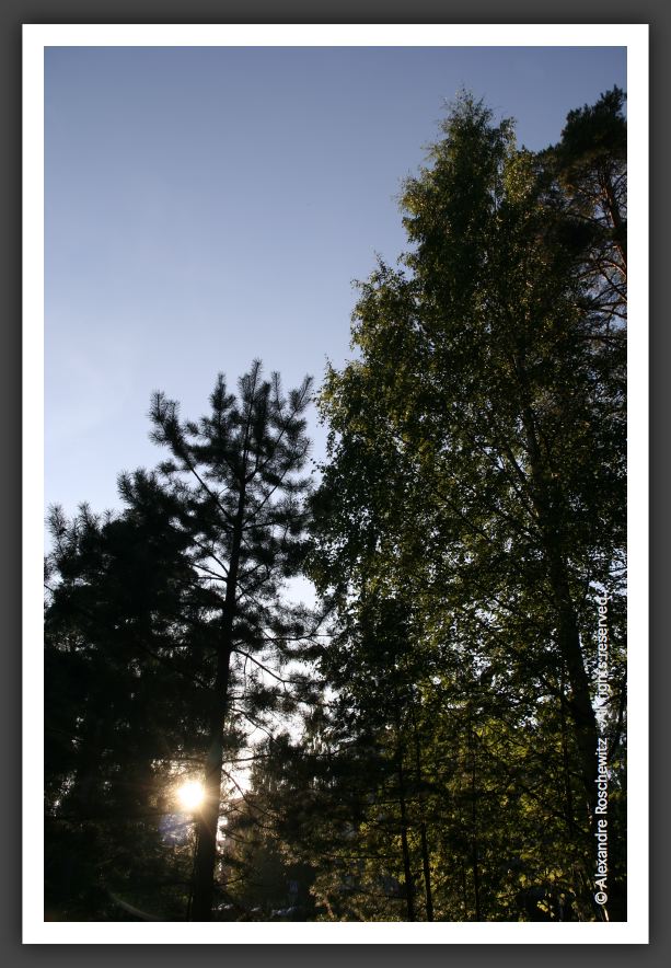 050902_ForetUniversite_06