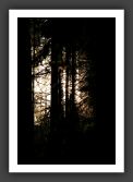050902_ForetUniversite_16