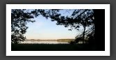 050902_ForetUniversite_21