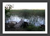 050902_ForetUniversite_22