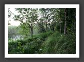 050902_ForetUniversite_23