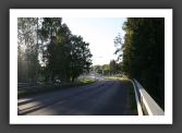 050902_ForetUniversite_26
