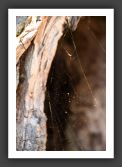 050917_CoucherSoleilSaimaa_22