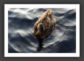 050923_LacSuoli_18