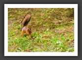 050925_LacSuoli2_45