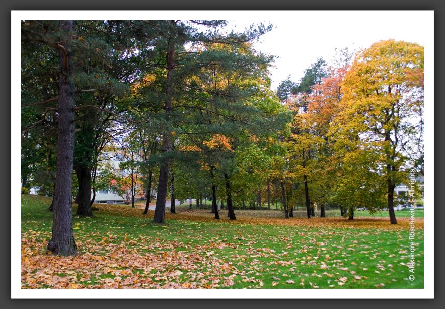 051001_Kouvola_75