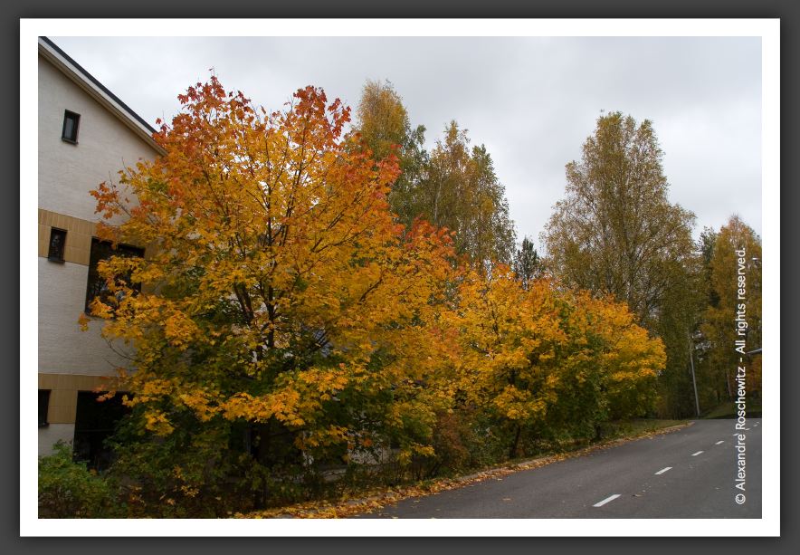 051001_Kouvola_80