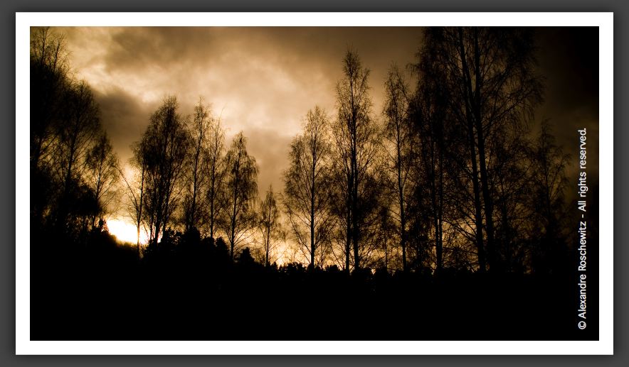 051112_LacKourula_014