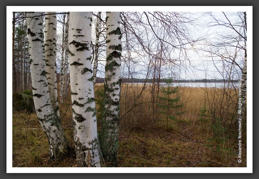 051112_LacKourula_028