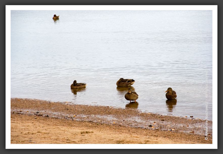 051112_LacKourula_038