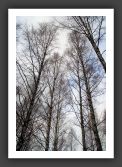 051112_LacKourula_011