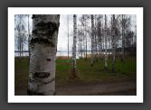 051112_LacKourula_007