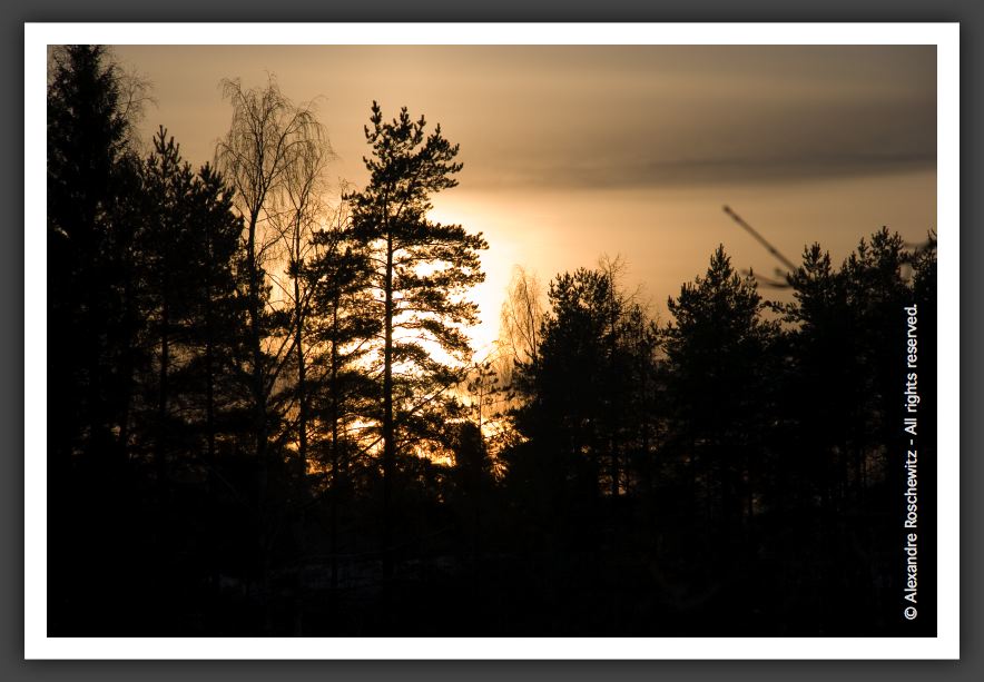 051203_MonsieurBonhomme_011