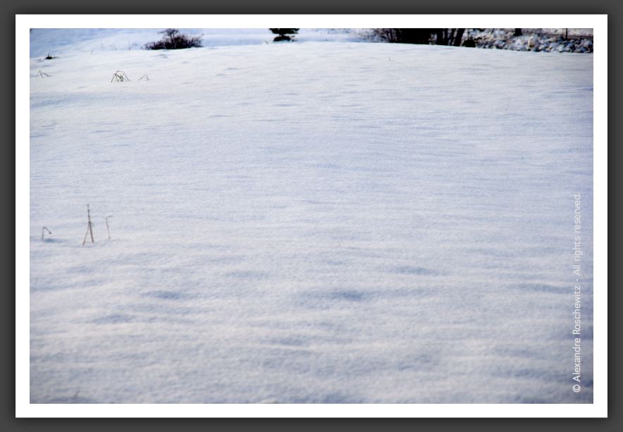 051203_MonsieurBonhomme_039