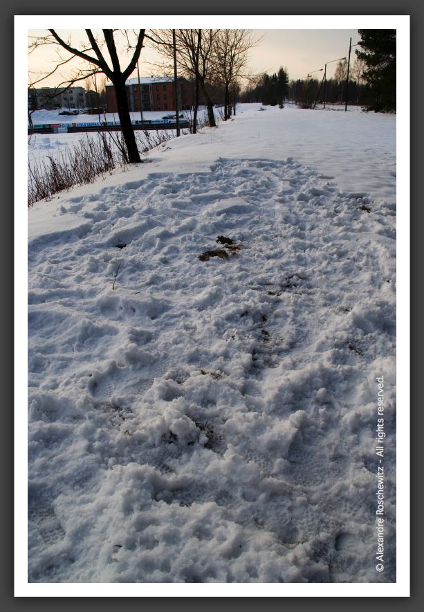 051203_MonsieurBonhomme_040