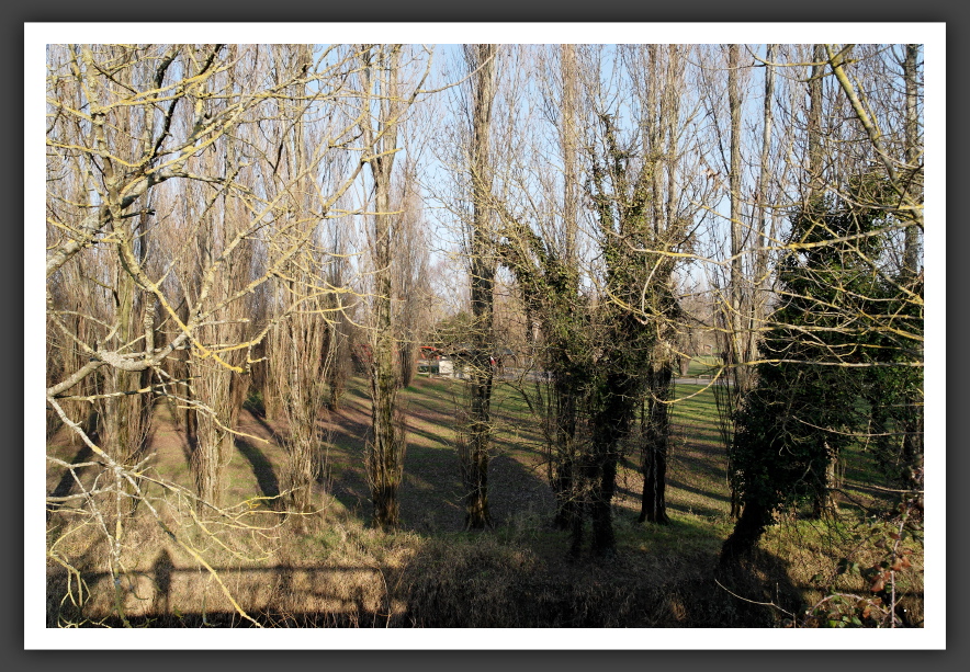 060115_Nantes_000