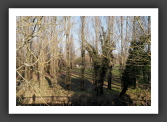 060115_Nantes_000