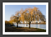 060115_Nantes_011