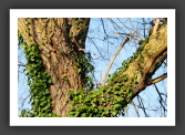060115_Nantes_007