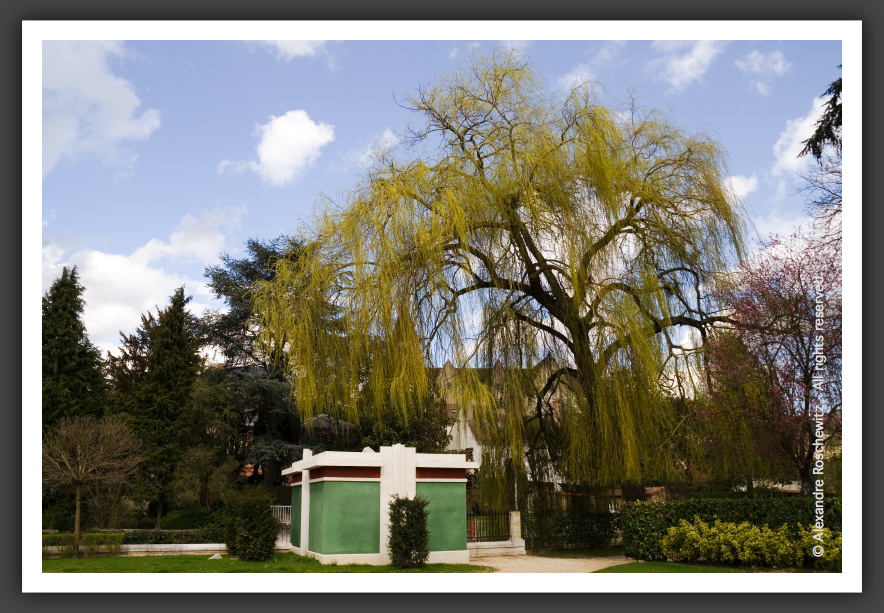 060401_VierzonLeRetour_007