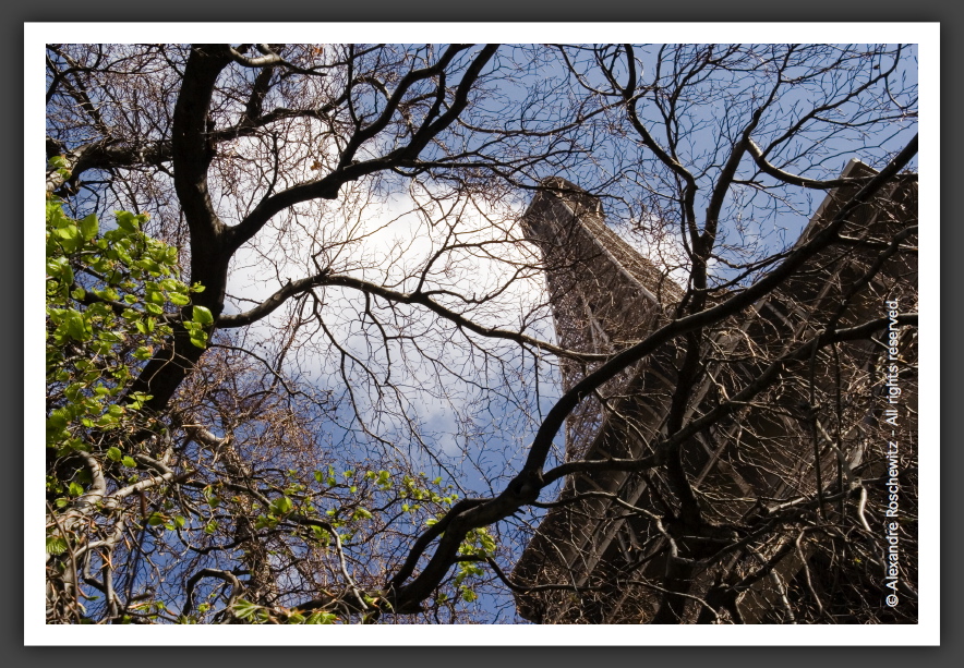 060409_Paris_022