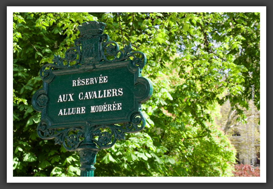 060409_Paris_034