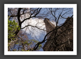060409_Paris_022