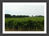 060809_GarenneLemot_000