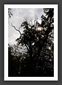 060809_GarenneLemot_011