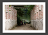 060809_GarenneLemot_015