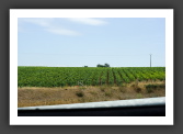 060809_GarenneLemot_001