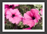 060809_GarenneLemot_009
