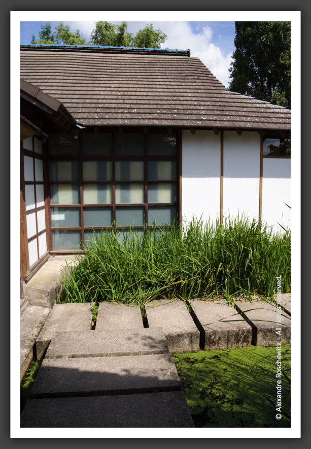 060811_Planetarium_JardinJaponais_017