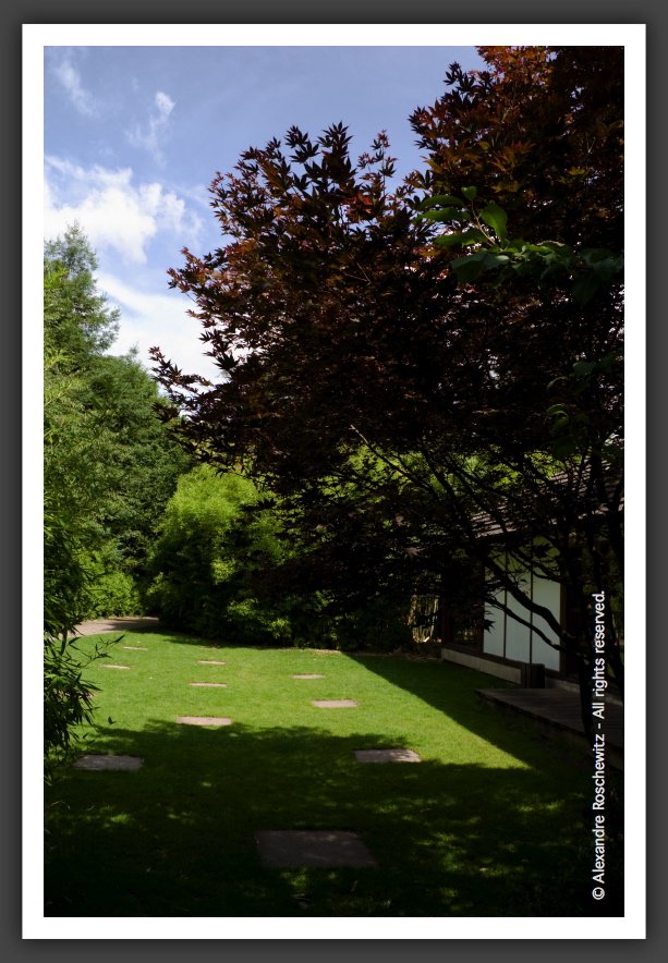 060811_Planetarium_JardinJaponais_022