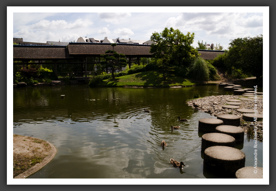 060811_Planetarium_JardinJaponais_025
