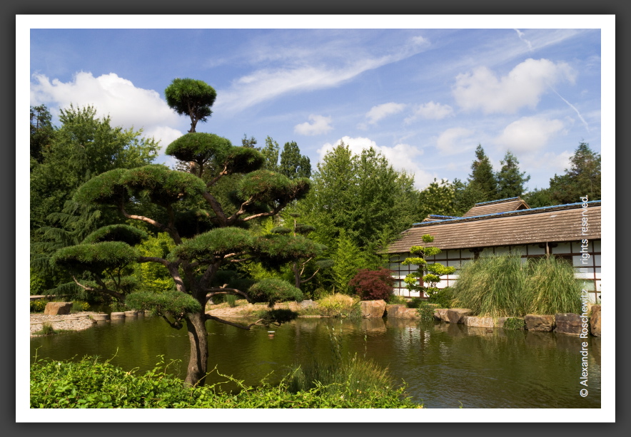 060811_Planetarium_JardinJaponais_007