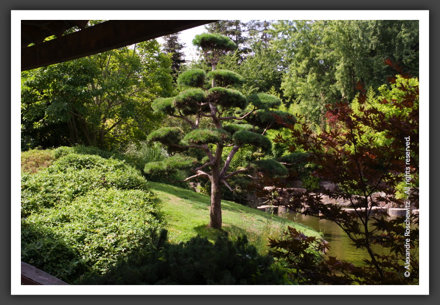 060811_Planetarium_JardinJaponais_013