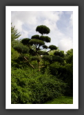060811_Planetarium_JardinJaponais_041