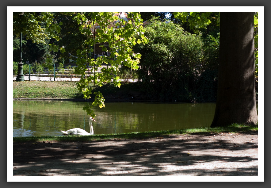 060901_JardinPublique_000